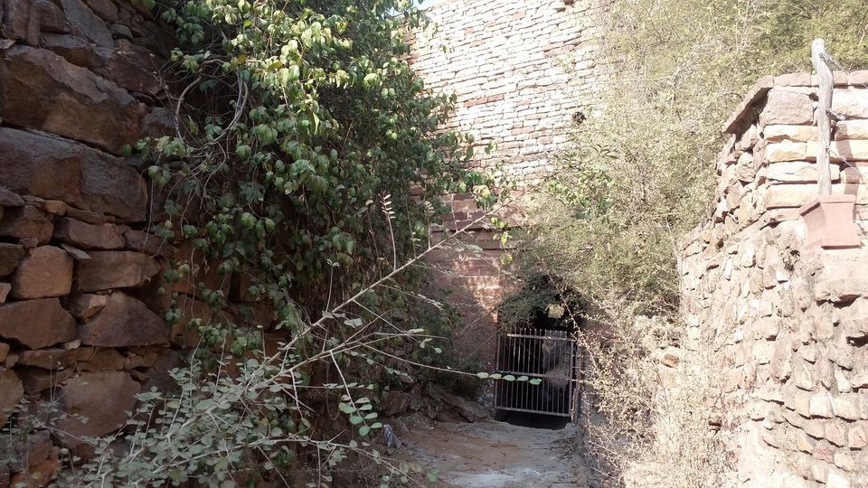 Photo of Rao Jodha Desert Rock Park, Jodhpur, Rajasthan, India by Ravindra sharma