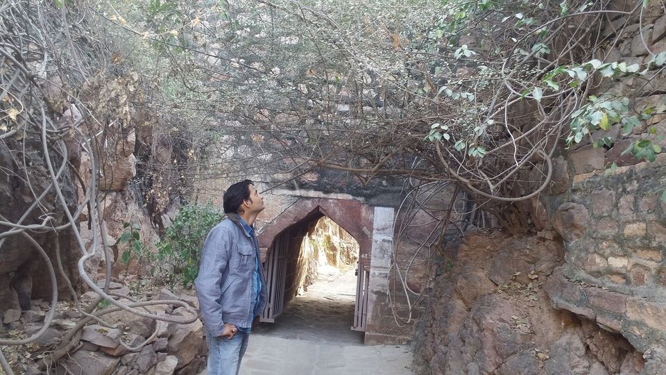 Photo of Rao Jodha Desert Rock Park, Jodhpur, Rajasthan, India by Ravindra sharma