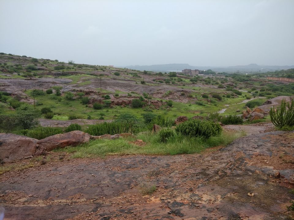 Photo of Jodhpur-Complete guide and Itinerary for Sun city/Blue city by Ravindra sharma
