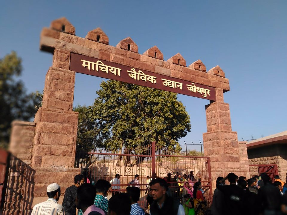 Photo of Machia Biological Park, Kailana Road, Near Kaylana LAke, Kamla Nehru Nagar, Jodhpur, Rajasthan, India by Ravindra sharma