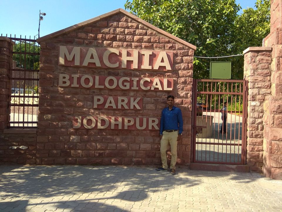 Photo of Machia Biological Park, Kailana Road, Near Kaylana LAke, Kamla Nehru Nagar, Jodhpur, Rajasthan, India by Ravindra sharma