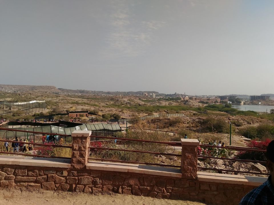 Photo of Machia Biological Park, Kailana Road, Near Kaylana LAke, Kamla Nehru Nagar, Jodhpur, Rajasthan, India by Ravindra sharma