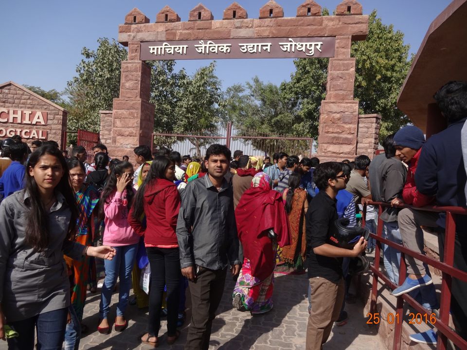 Photo of Machia Biological Park, Kailana Road, Near Kaylana LAke, Kamla Nehru Nagar, Jodhpur, Rajasthan, India by Ravindra sharma