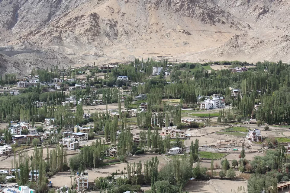 Photo of Leh Palace, Leh by Ravindra sharma