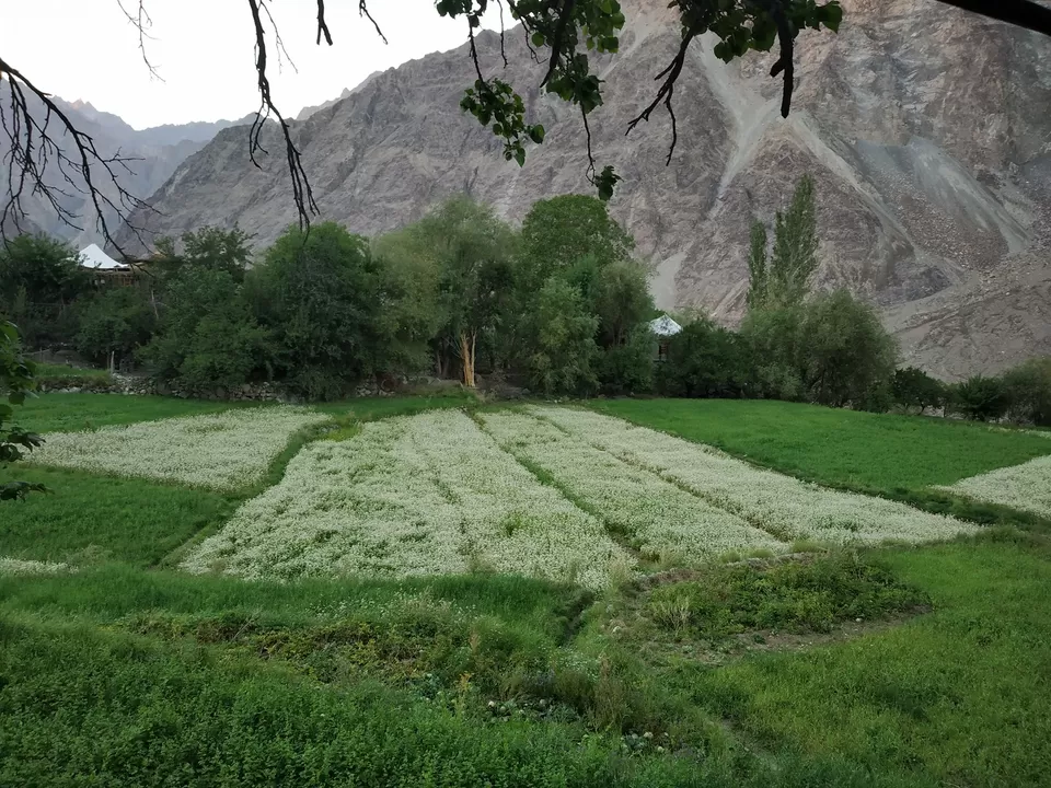 Photo of Turtuk by Ravindra sharma