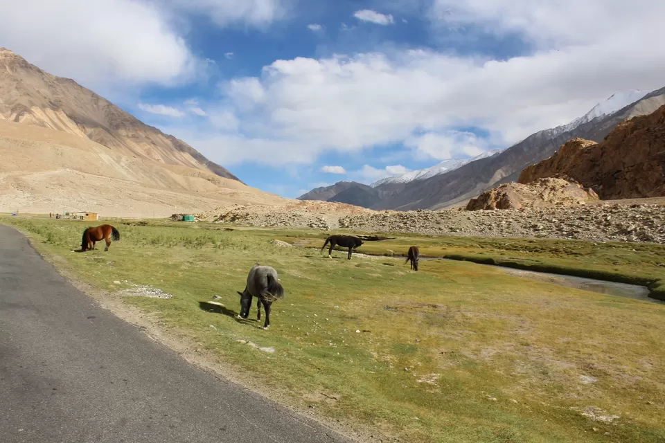 Photo of Pangong Lake, Leh by Ravindra sharma