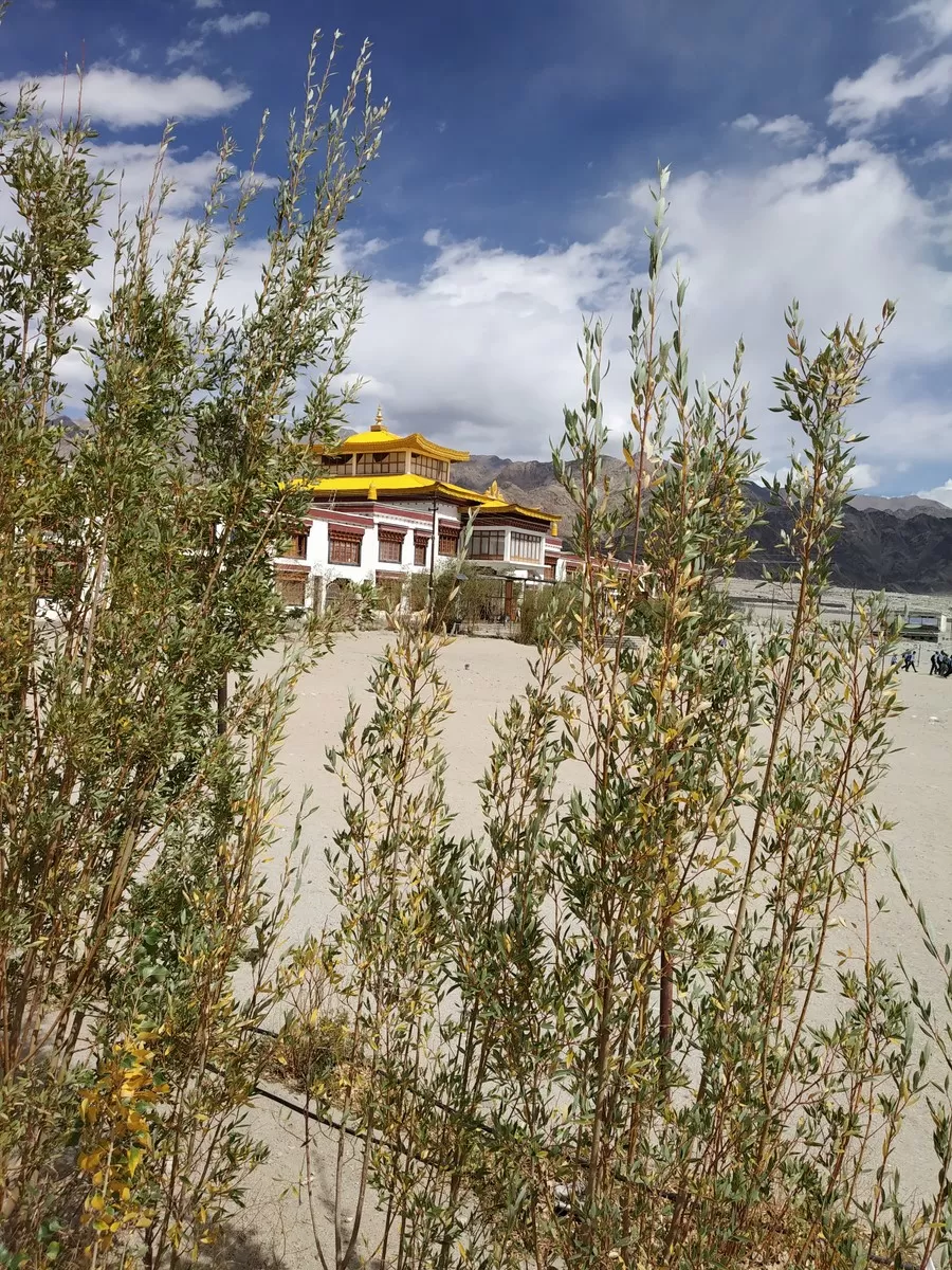 Photo of Druk White Lotus School, Shey by Ravindra sharma