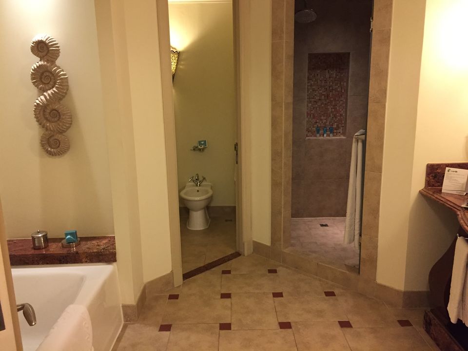 Photo of ATLANTIS THE PALM, DUBAI by Arpita Agrawal