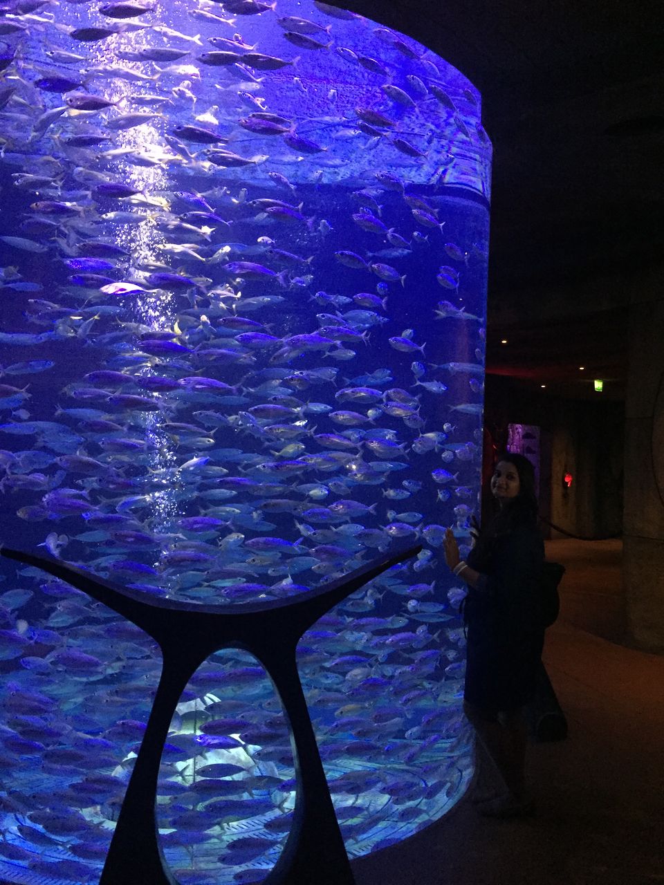 Photo of ATLANTIS THE PALM, DUBAI by Arpita Agrawal