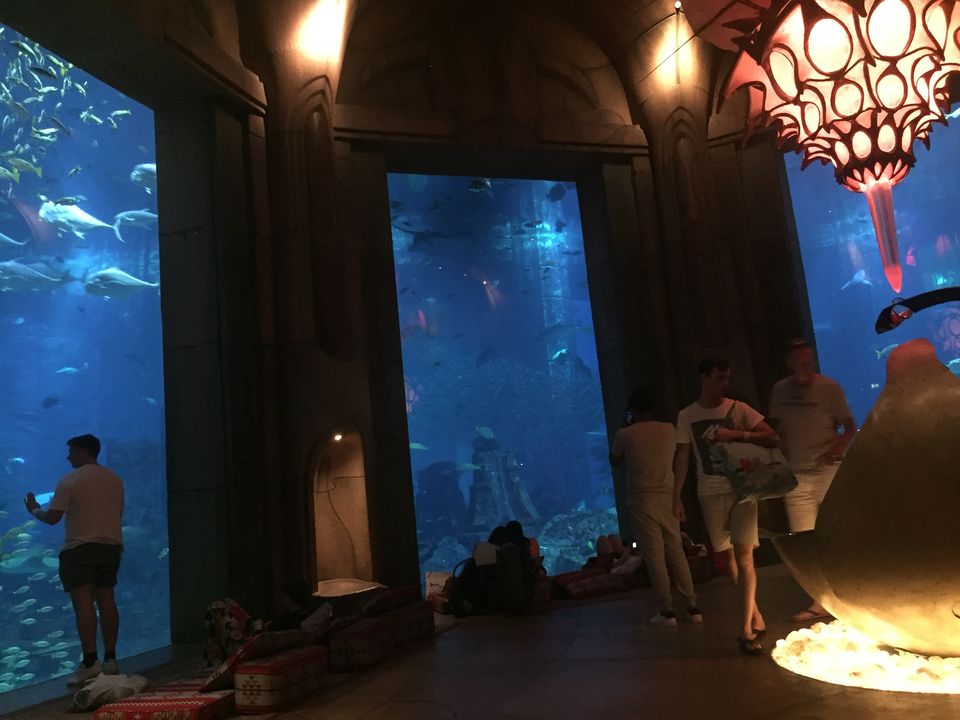 Photo of ATLANTIS THE PALM, DUBAI by Arpita Agrawal