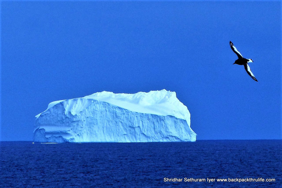 Photo of Antarctica by Shridhar Sethuram Iyer