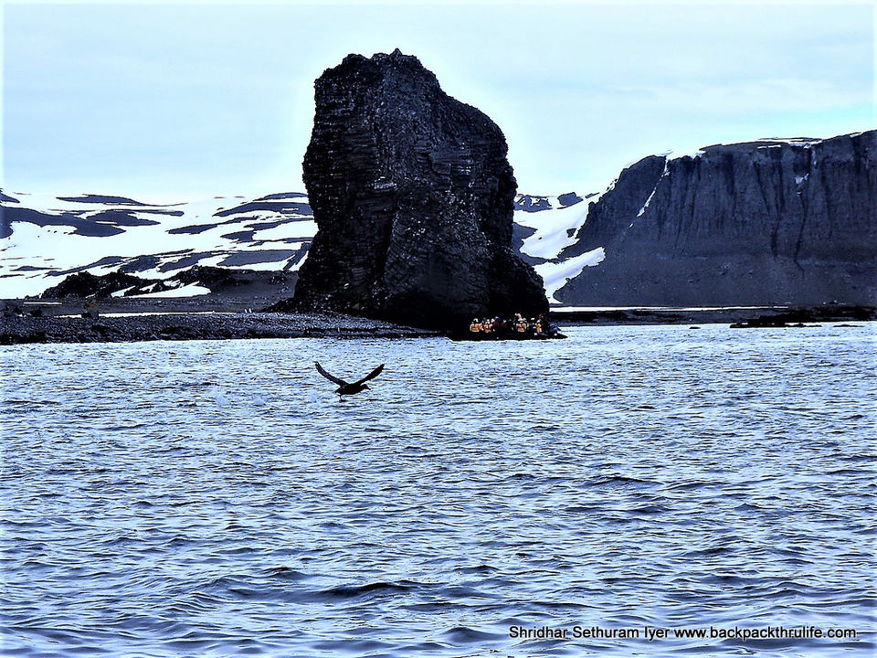 Photo of Antarctica by Shridhar Sethuram Iyer