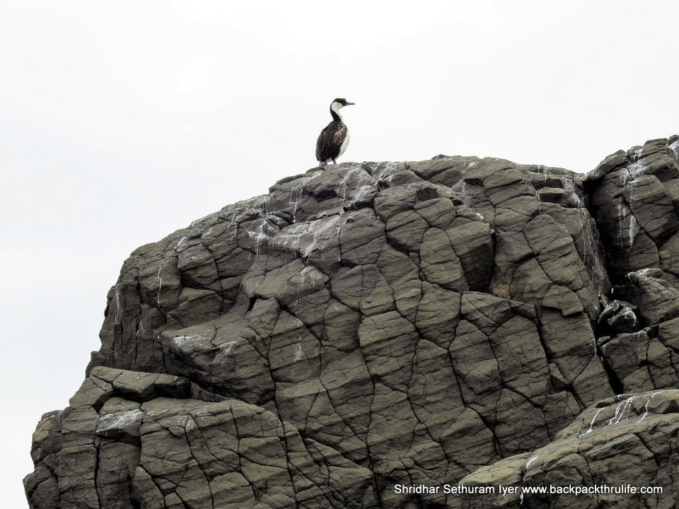 Photo of Antarctica by Shridhar Sethuram Iyer