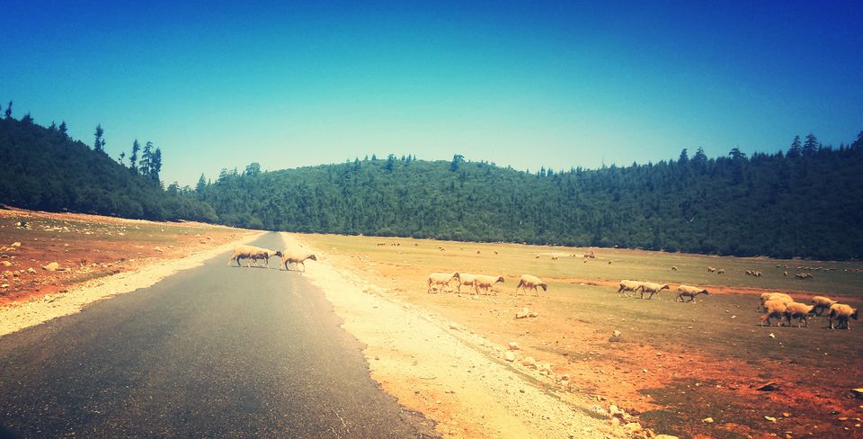 Photo of Atlas mountains – amazing place where the life stops (Morocco) 38/38 by Gina Kubiliūtė