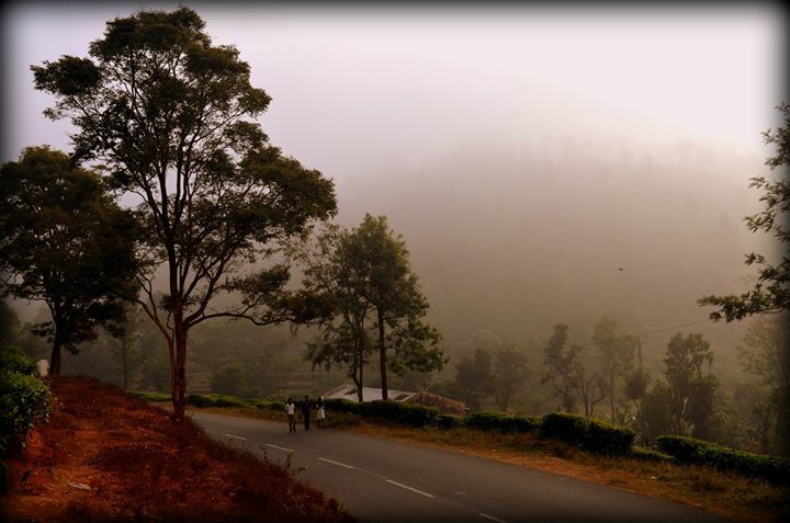 Photo of -- सफरनामा -- #TripotoTakeMeToDeoriatal by Ankush Varshney