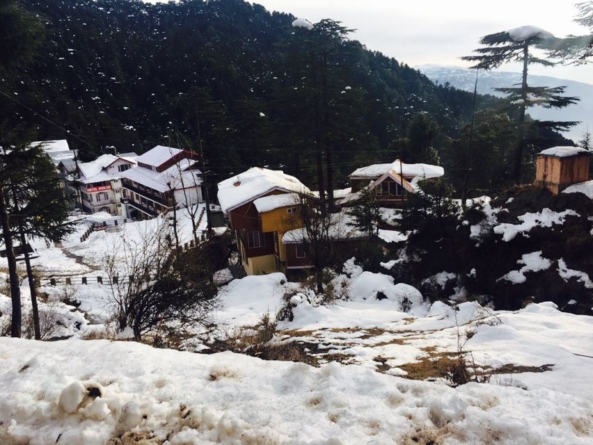 Photo of Patnitop by Minakshi Tandon