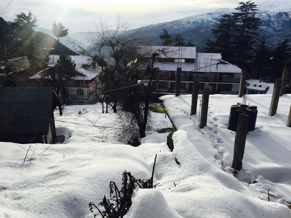 Photo of Patnitop by Minakshi Tandon