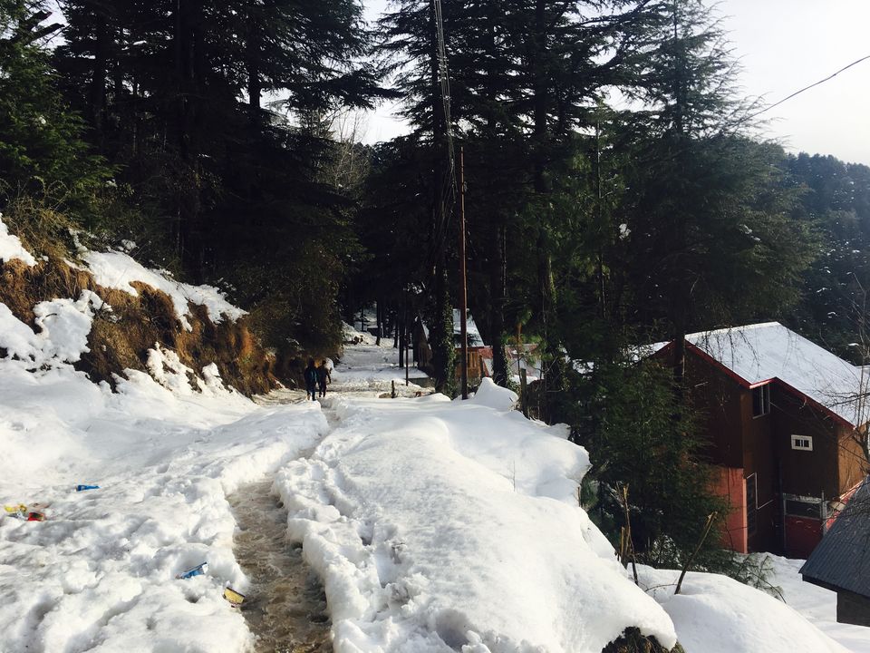 Photo of Patnitop by Minakshi Tandon