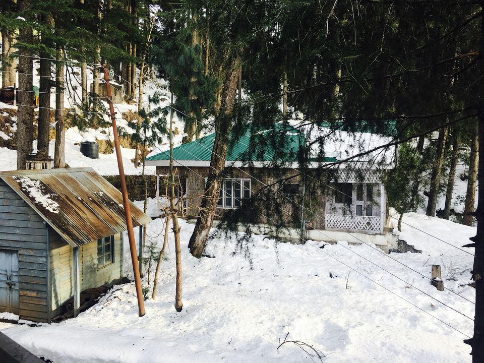 Photo of Patnitop by Minakshi Tandon