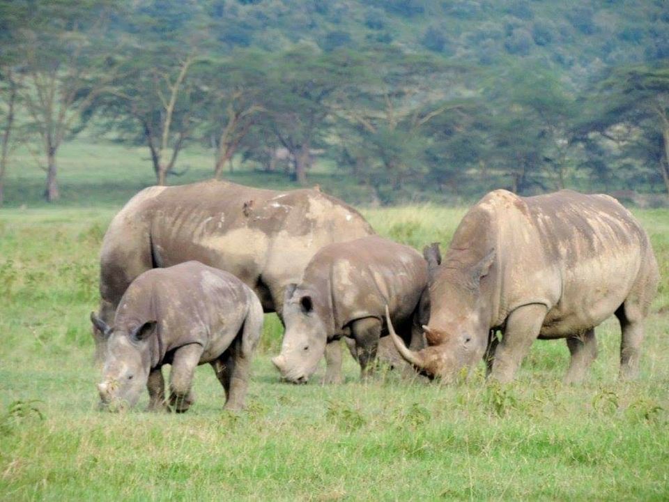 Photo of A must visit place for every wildlife enthusiast. by Radhika Thankar