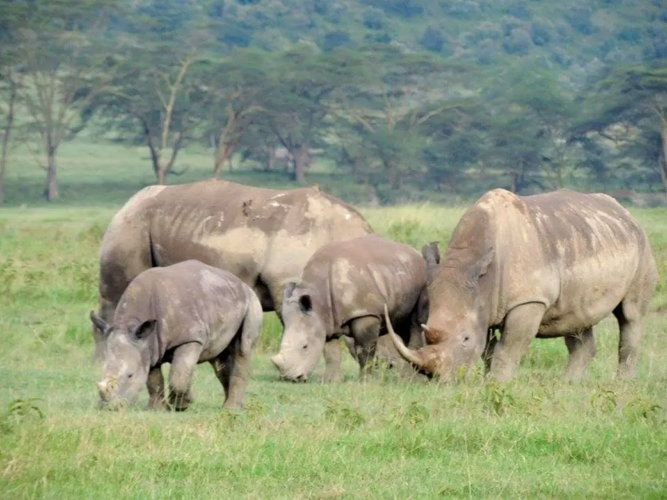 Photo of A must visit place for every wildlife enthusiast. by Radhika Thankar