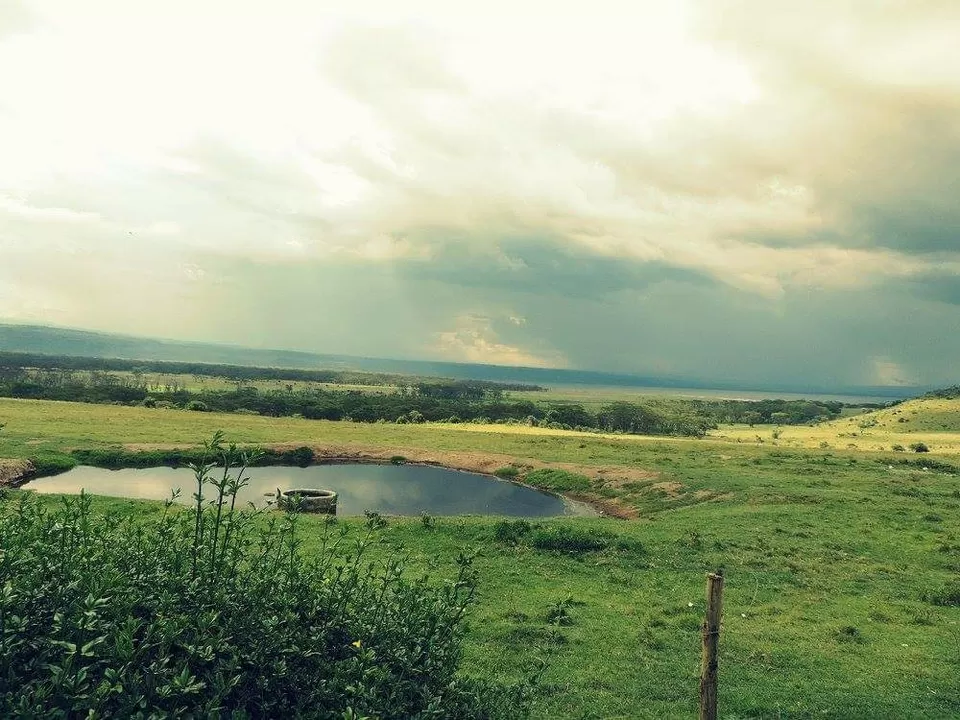 Photo of A must visit place for every wildlife enthusiast. by Radhika Thankar