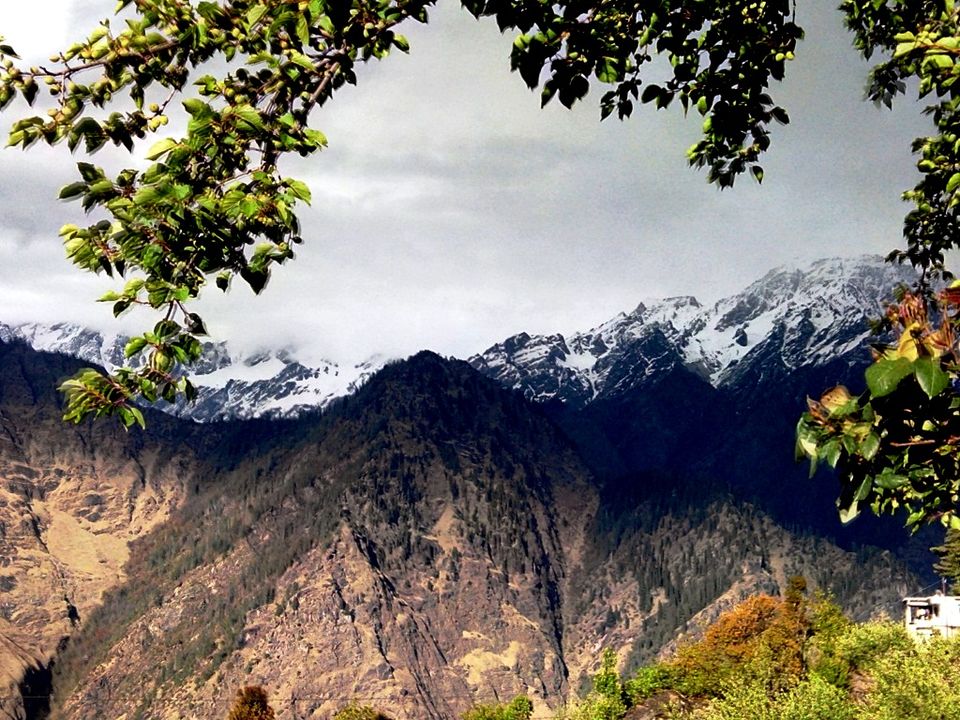 Photo of Auli- A 2000 mile solo road trip 7/22 by Pradnya Kulkarni