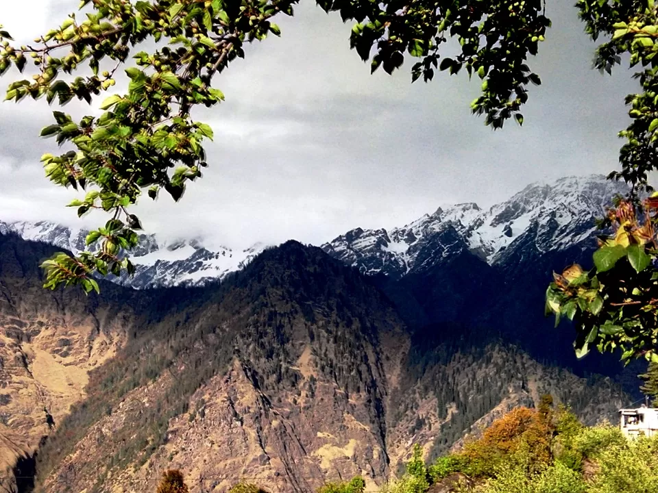 Photo of XRA, Joshimath, Uttarakhand, India by Pradnya Kulkarni