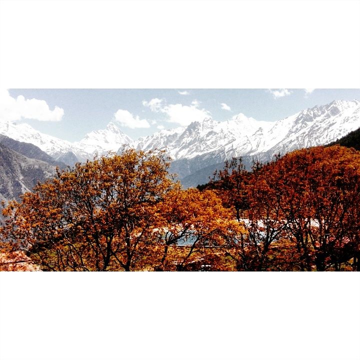 Photo of Auli- A 2000 mile solo road trip 18/22 by Pradnya Kulkarni