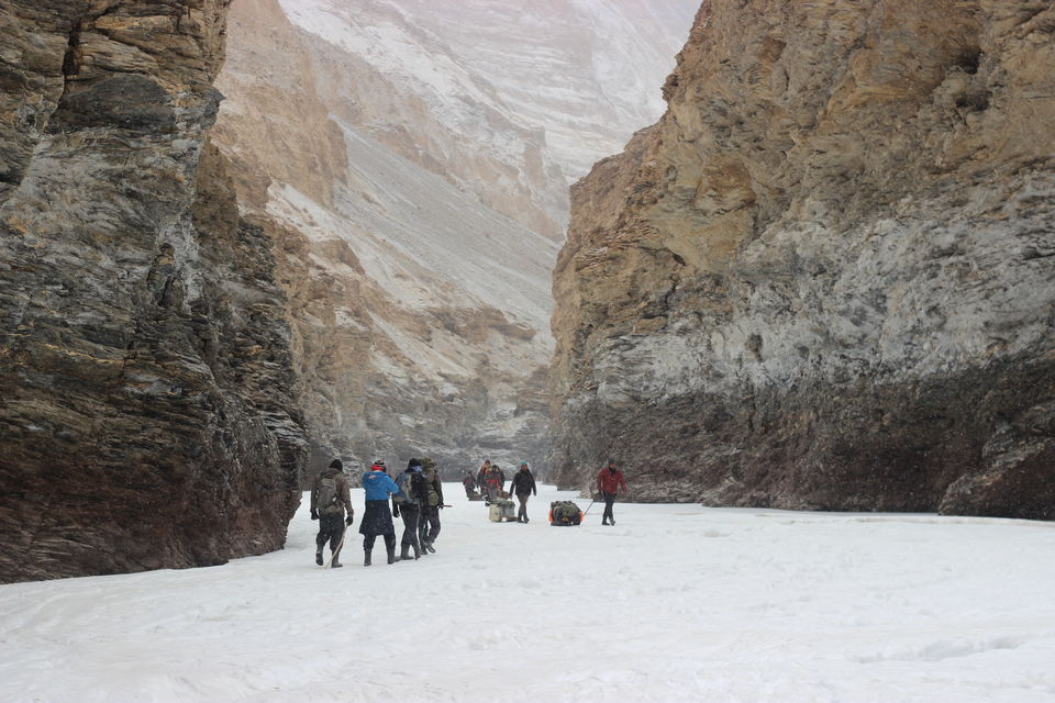 Photo of Chadar Trek Ladakh, New Delhi, Delhi, India by Prasad Nakhawa