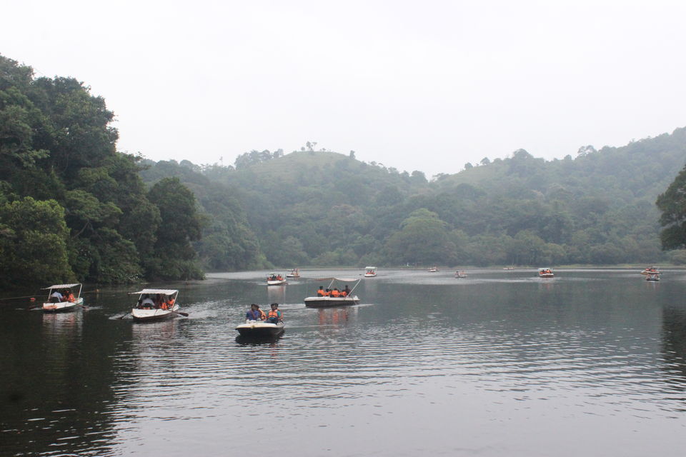 Photo of Wayanad, Kerala, India by Prasad Nakhawa