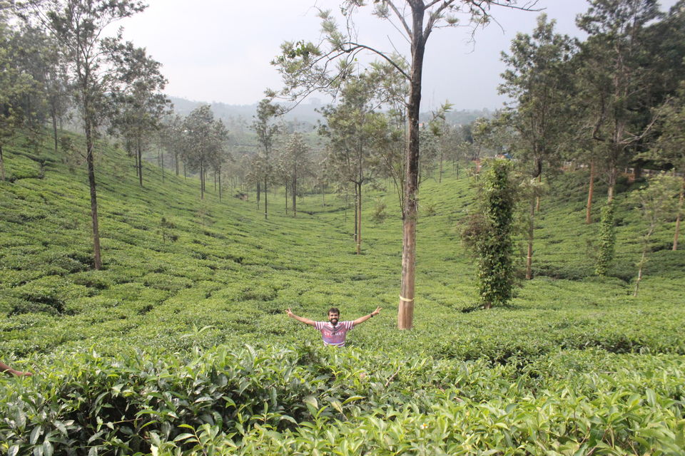 Photo of Wayanad, Kerala, India by Prasad Nakhawa