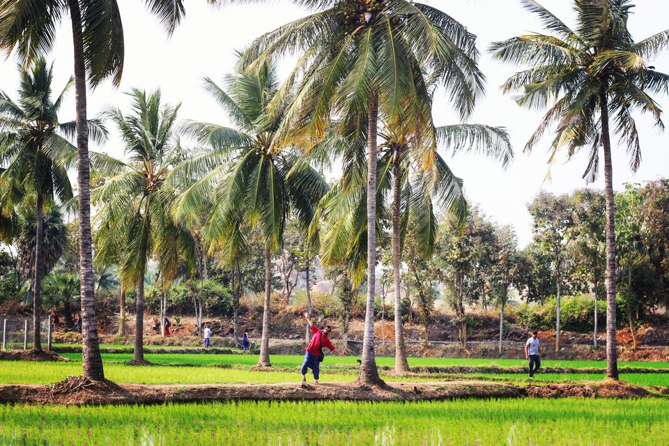 Photo of Hampi – The Historic Wonderland with a Flavour of Hippie Culture! 6/11 by Prasad - The Enthu Wanderer