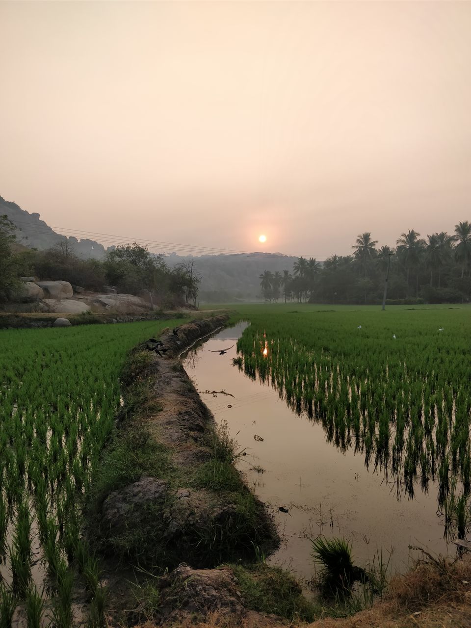 Photo of Hampi – The Historic Wonderland with a Flavour of Hippie Culture! by Prasad Nakhawa