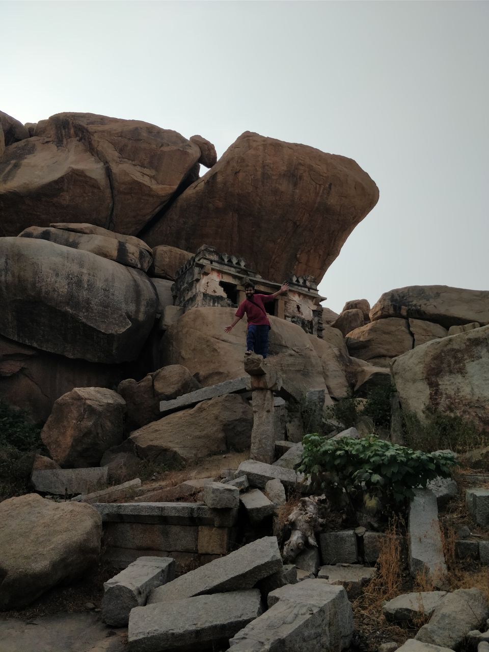 Photo of Daroji Sloth Bear Sanctuary, Seetharama Tanda, Karnataka, India by Prasad Nakhawa