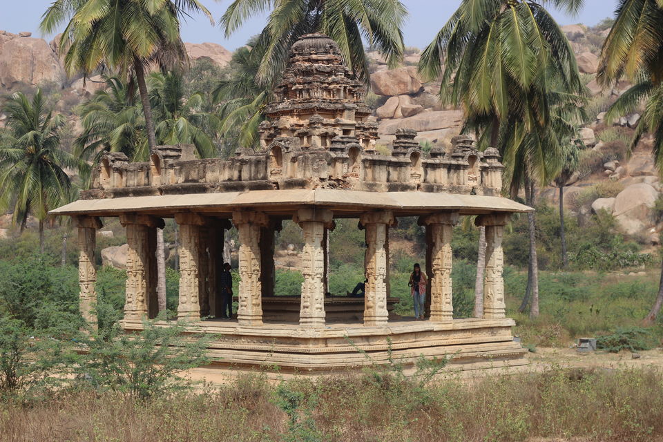 Photo of Daroji Sloth Bear Sanctuary, Seetharama Tanda, Karnataka, India by Prasad Nakhawa