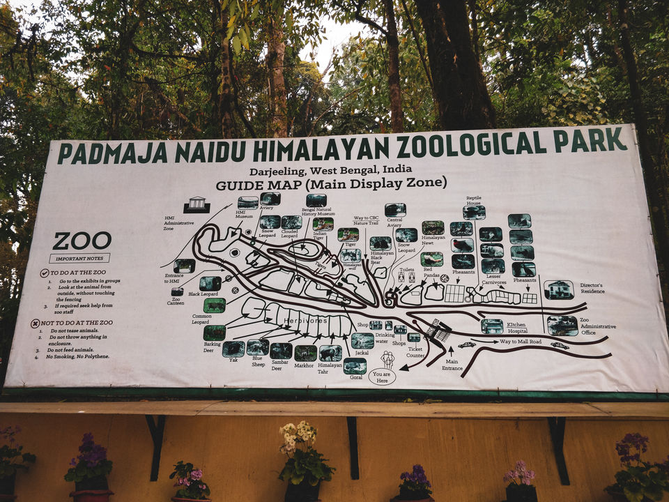 Photo of Padmaja Naidu Himalayan Zoological Park, Swarnabithi Apartment, Panchasayar, Garia, Kolkata, West Bengal, India by Prasad - The Enthu Wanderer