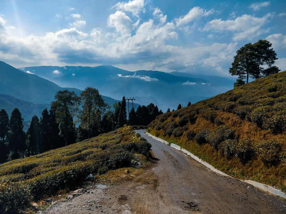 Photo of Happy Valley Tea Estate, Near, Darjeeling, West Bengal, India by Prasad - The Enthu Wanderer