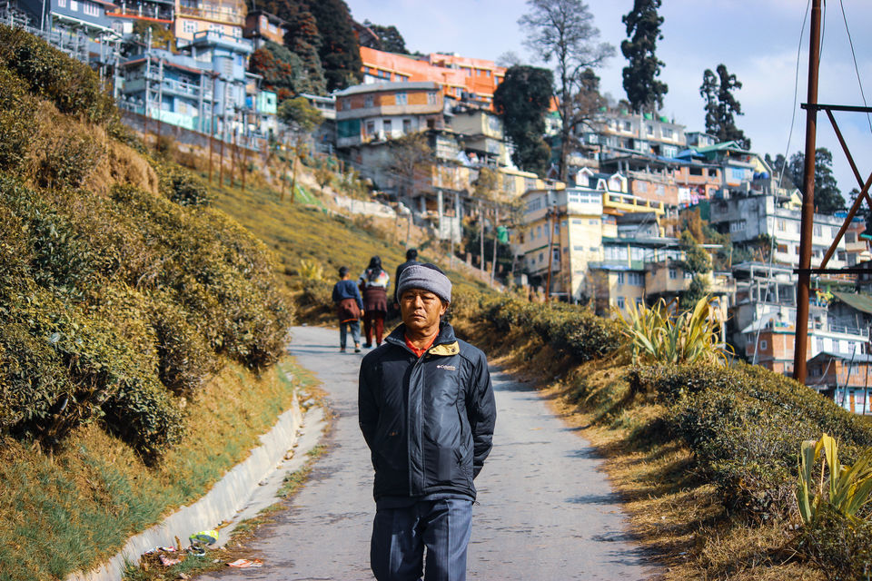 Photo of Happy Valley Tea Estate, Near, Darjeeling, West Bengal, India by Prasad - The Enthu Wanderer