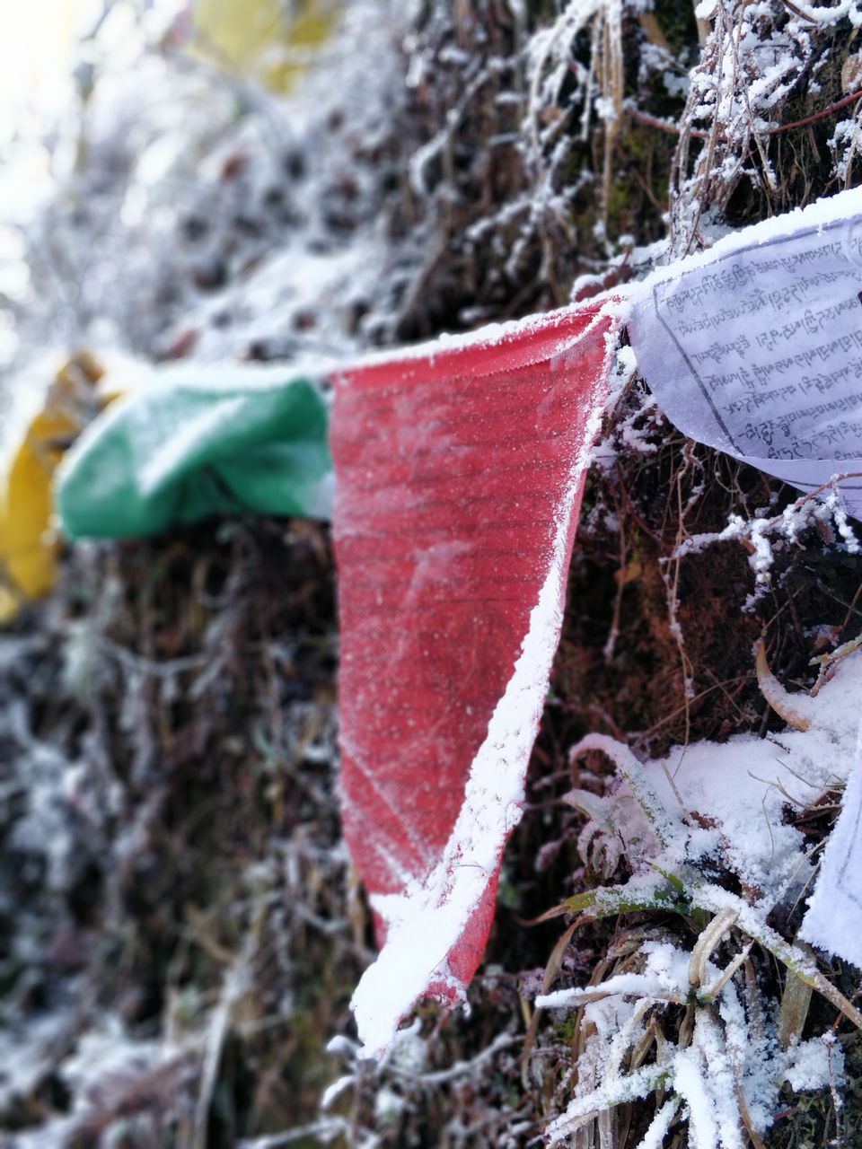 Photo of Darjeeling: Backpacking solo trip to the Queen of Hills! by Prasad - The Enthu Wanderer