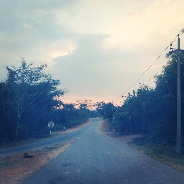 Photo of Elephants, wild buffalos and a resort by the hills. 1/3 by Hari