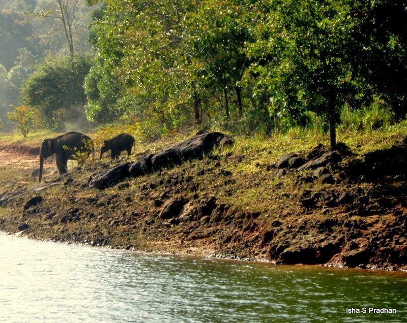 Photo of She came. She saw. She fell in love - KERALA 17/26 by Isha Pradhan