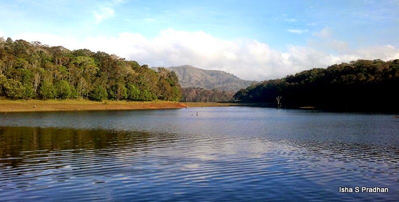 Photo of She came. She saw. She fell in love - KERALA 23/26 by Isha Pradhan