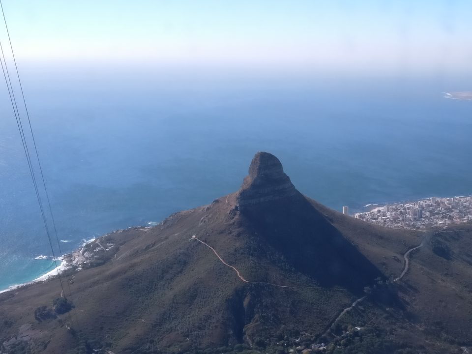 Photo of Exploring Big Five- South Africa as a honeymoon destination. by Deepshikha