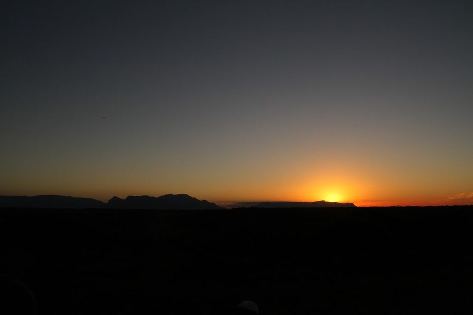Photo of Exploring Big Five- South Africa as a honeymoon destination. by Deepshikha