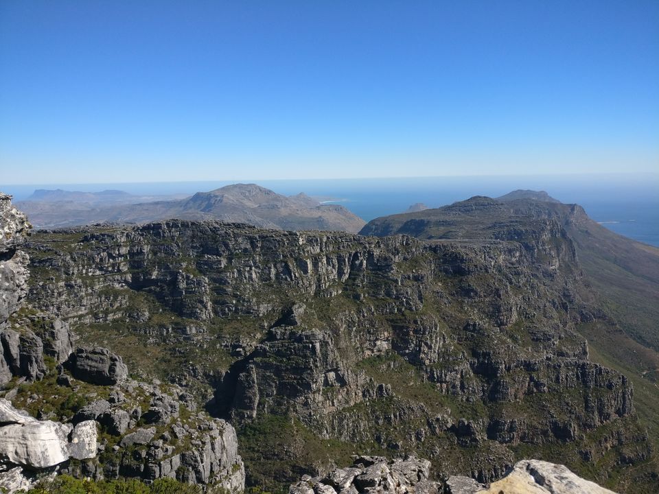 Photo of Exploring Big Five- South Africa as a honeymoon destination. by Deepshikha