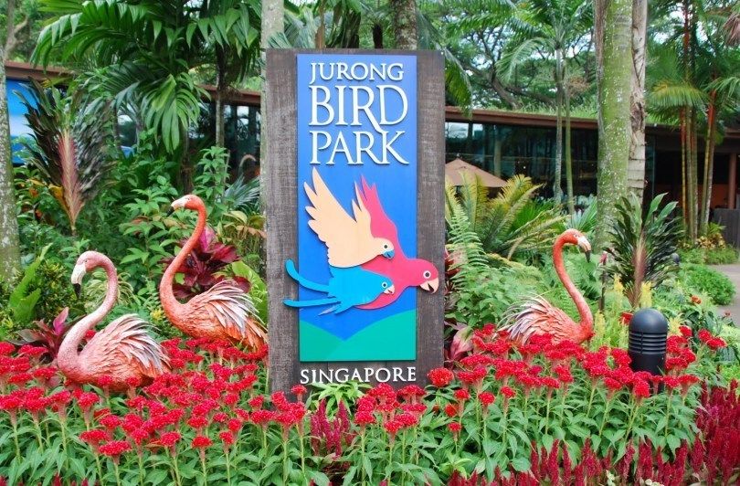 Photo of Bird’s Bliss- Jurong Bird Park 1/1 by Deepshikha