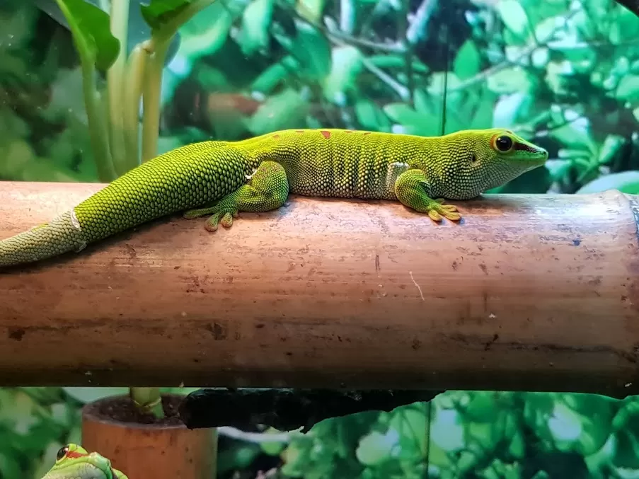 Photo of Amazon World Zoo, Sandown, UK by Deepshikha