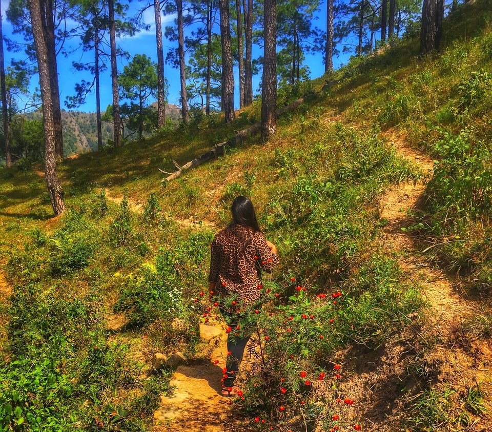 Photo of Non Commercialized Hill Station Near Delhi 2/10 by Grishma Anand