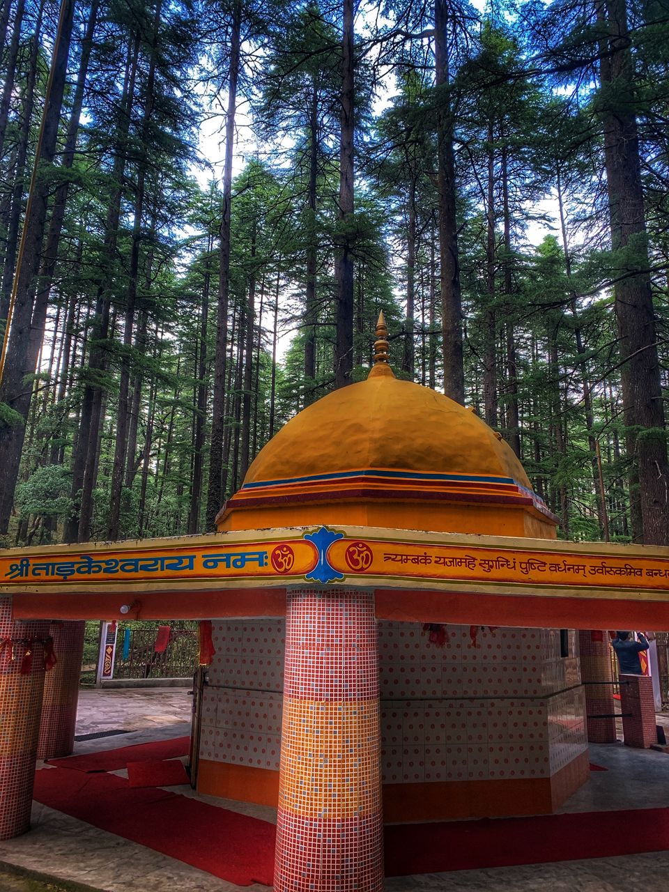 Photo of Non Commercialized Hill Station Near Delhi 6/10 by Grishma Anand